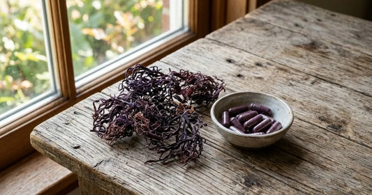 Dried purple sea moss and a small bowl of organic sea moss supplement capsules