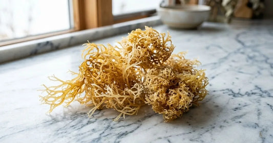 comparison between sea moss capsules and gel to show what does sea moss do for your body